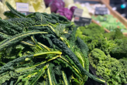 Saisonkalender-Januar