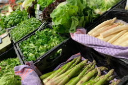 Saisonkalender-April