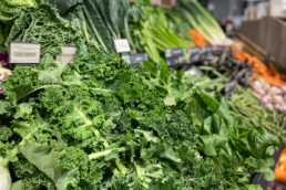 Saisonkalender Februar