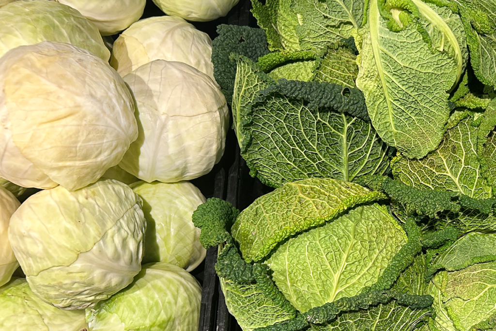 Saisonkalender November