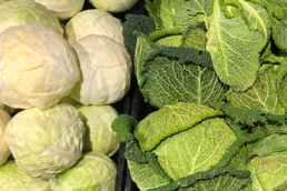 Saisonkalender November