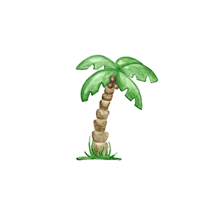 Palme
